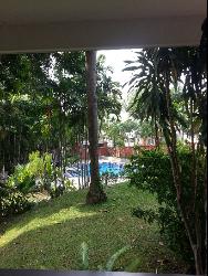 Luxury Apartments (D11), Apartment #1165832